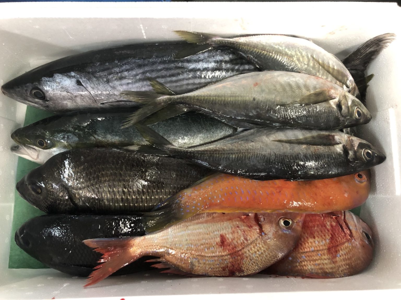 トピックス｜ 業務用活魚・鮮魚の仕入れ販売のさるがく水産